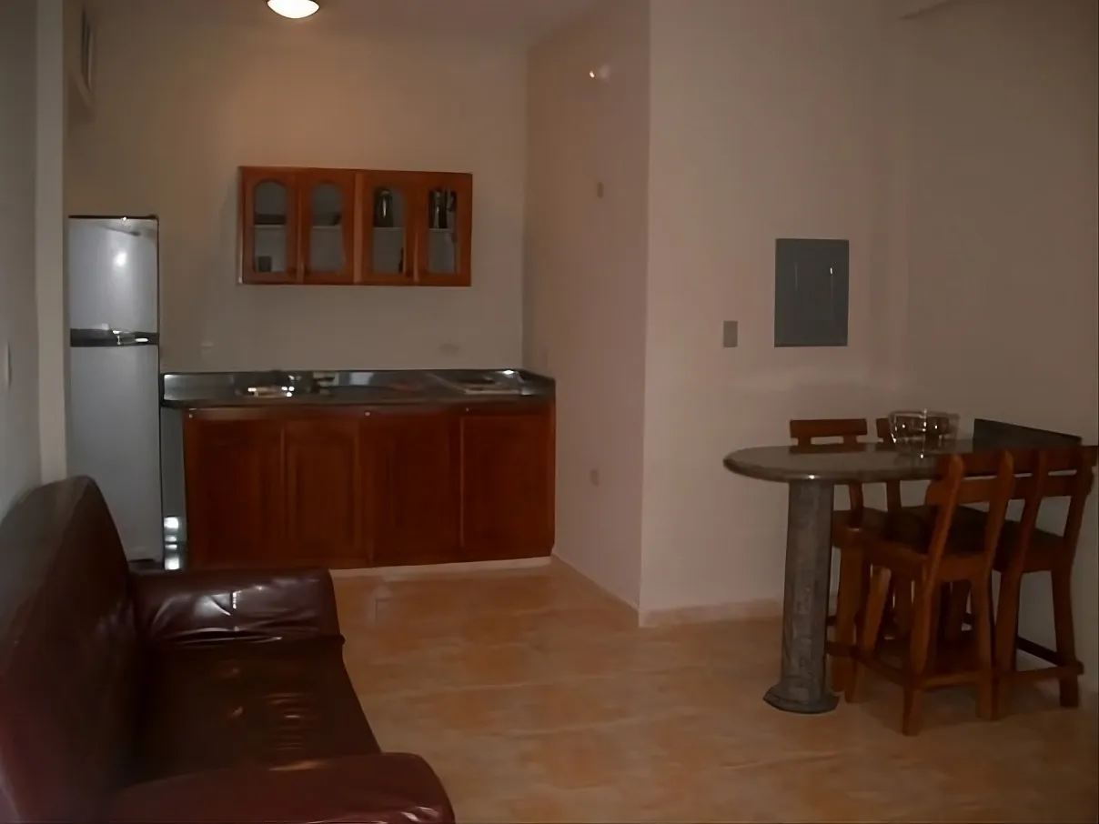 Sala de estar amoblada del apartamento en Aparto-Hotel Florencia